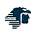 Airline Logo