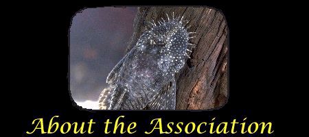 [About the Association]
