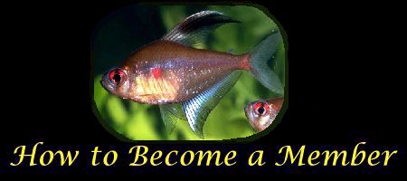 [How to Become a Member]