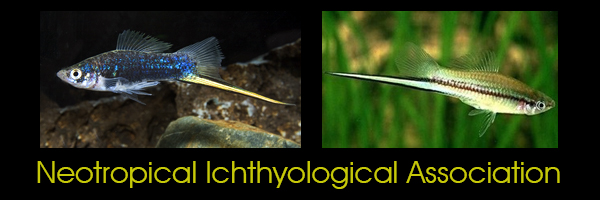 [Neotropical Ichthyological Association]