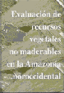 Imagen de la Publicación