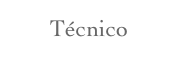 Técnico