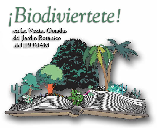 http://www.ibiologia.unam.mx/imagenes/jardin/escuela1.jpg