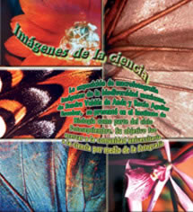 Imágenes de la Biodiversidad Mexicana