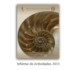 Informe 2013 IBUNAM