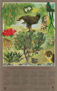 Calendario 2008 IBUNAM