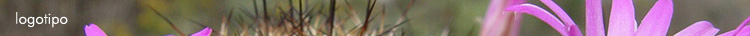 Logotipo del SLCCS