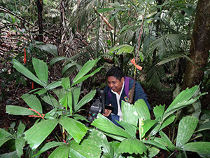 %_tempFileName30%20Evaluando%20condiciones%20luminicas%