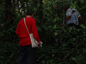 42 Estudiando herbivoría en la selva