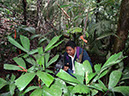 %_tempFileName30%20Evaluando%20condiciones%20luminicas%